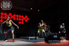 Pongo @ Ariano Folk Festival 2023 / © Gaetano Piazzolla