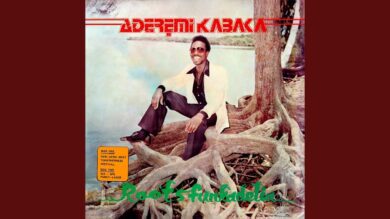 英LP Remi Kabaka Roots Funkadelia BBE768ALP BBE 未開封 /00400 Roots Funkadelia | Remi Kabaka | BBE